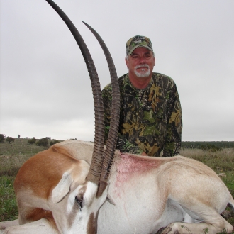 38" Oryx